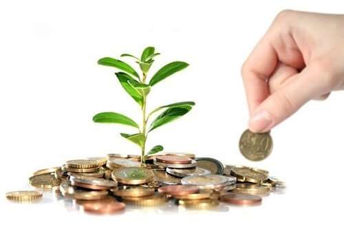 Startup Seed Capital